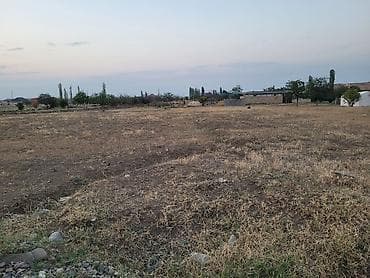torpaq 2 sot: 24 sot, Kənd təsərrüfatı, Maklerlər narahat etməsin, Kupça (Çıxarış) — 4