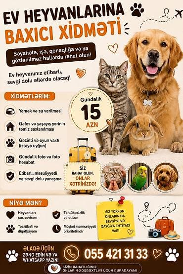 pişik yemi qiyməti: 🐾 Ev Heyvanlarına Baxıcı Xidməti 🐾 Salam! Ev heyvanlarını — 1