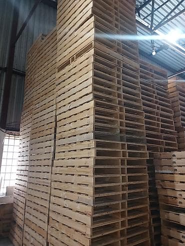 qoz agaci satilir: 1.14×1.14 — 9