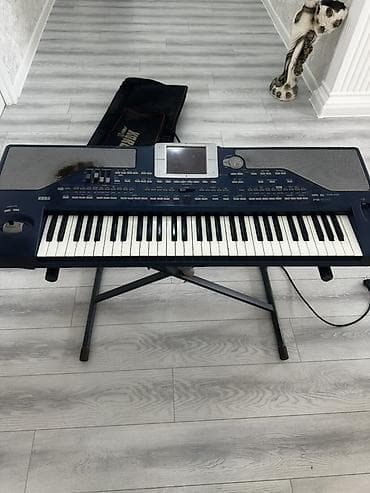 real gitara: Sintezator, Korg, İşlənmiş — 1