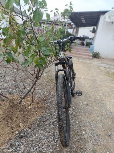 купить горный велосипед недорого: Dağ velosipedi – hardtail - Geniş profilli təkərlər: kobud yol və — 2