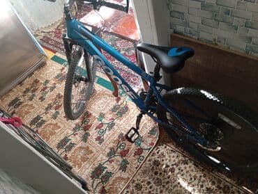 методическое пособие по математике 5 класс азербайджан: Goose markalı, mavi rəngli dağ velosipedi. Metal çərçivəyə və disk — 1