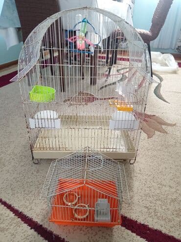 Quş qəfəsləri dəsti - 2 ədəd metal qəfəs: biri böyük, biri kiçik