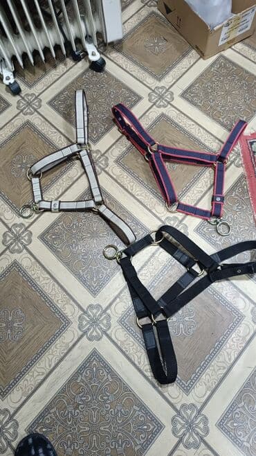 İtlər: At üçün halter dəstləri - Növ: At halteri (başlıq) - Material — 1