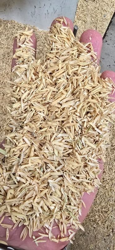 elektron sud sagan qiymeti: Düyü qabığı (rice husk) Tonlarla qurudulmuş düyü qabığı satılır! — 2