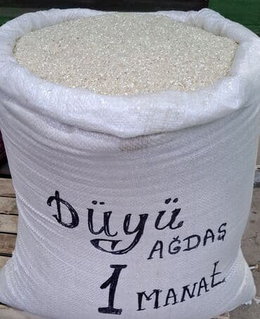 акун мука цена: Məhsul: Ağdaş düyüsü (xırda qırıq düyü) Öz kəndimizin məhsuludur — 4