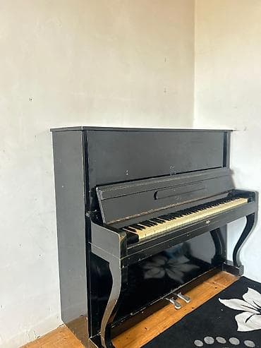 Musiqi alətləri: Piano, Akustik — 5