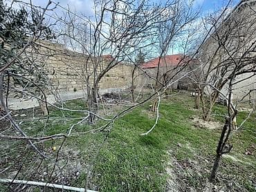 quba 5 sotlar: 4 sot, Tikinti, Mülkiyyətçi, Kupça (Çıxarış), Texniki pasport — 2