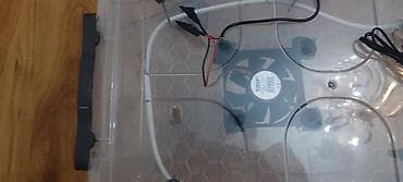 Сельско-хозяйственное оборудование: Tam aftomqtik inkibator endirim olacaq 0773521550 — 4