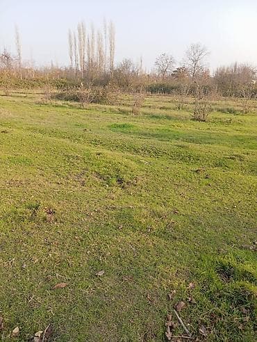 torpaqlarin satisi: 12 sot, Tikinti, Barter mümkündür, Kupça (Çıxarış) — 1