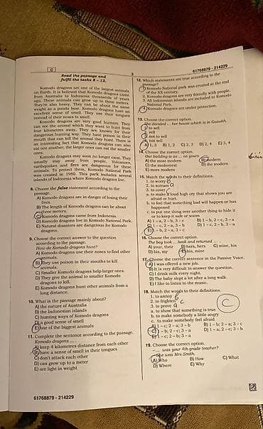 abşivka taxta: Qoyun fiqurlu biskvit tort ev şirniyyatları - Qoyun formasında — 6