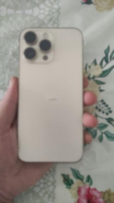 IPhone 16 Pro Max, Barmaq izi — 1