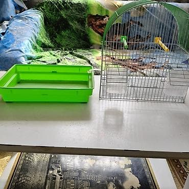 amadin qulda: Quş qəfəsi – kiçik dekorativ quşlar üçüş - Material: sinklənmiş metal — 4