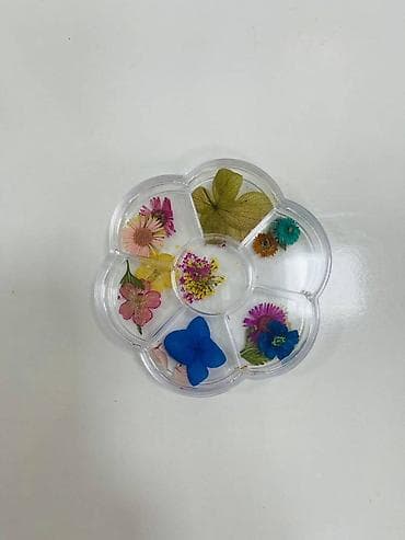 Dırnaq üçün gül qurusu. Akvarium və digər dizaynlar üçün uyğundur