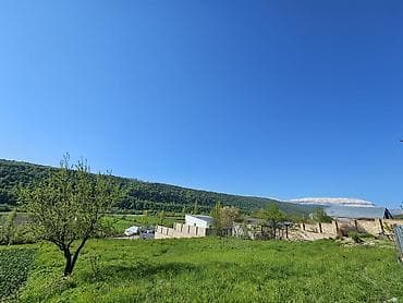 12 sot, Tikinti, Mülkiyyətçi, Kupça (Çıxarış)