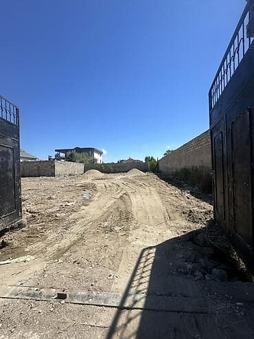 20 sot, Tikinti, Kupça (Çıxarış) — 1