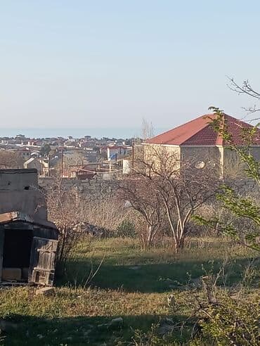 купить землю в азербайджане: 30 соток, Для сельского хозяйства, Риэлторам не беспокоить — 5