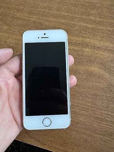 IPhone 5s, Серебристый, Отпечаток пальца — 1