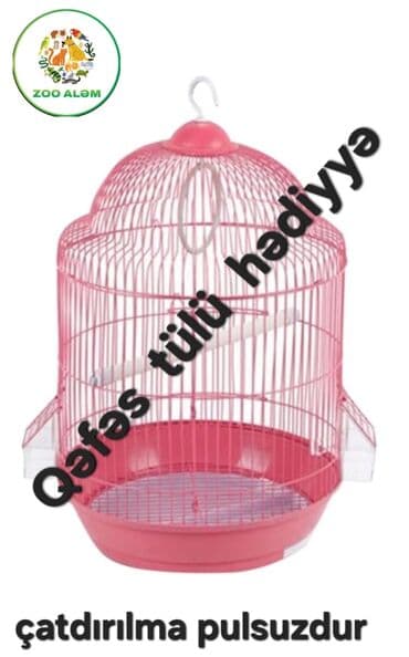 popuqay qefesi: Tutuquşu qəfəsi.(papuqay qefesi) Gözəl dizaynda hazırlanmış — 1