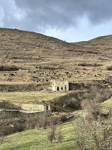 kənd məhsullarının satışı: Kənd təsərrüfatı — 1