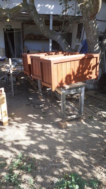 jasmin gülü: Dibceklər #biçeklər hər ölcüdə gülə #gül yeşikləri 1il rəsmi — 3