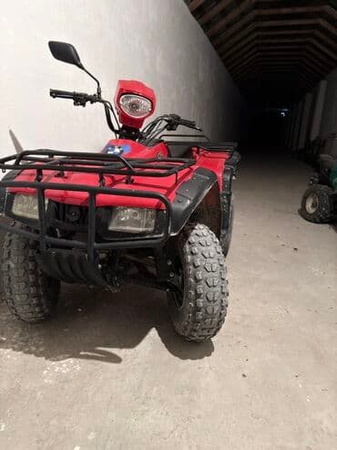 сколько стоит мопед: ATV – 250cc, 4 təkərli kross kvadrosikl - Mühərrik: 250cc benzinli — 4