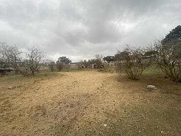 torpag satisi: 46 sot, Biznes üçün, Maklerlər narahat etməsin, Kupça (Çıxarış) — 3