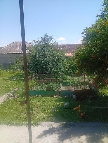 kirdit evi: Bağ evi – geniş həyət və təsərrüfat sahəsi - Həyətyanı sahə — 1