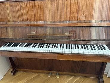 Fleytalar: Piano, Akustik — 1