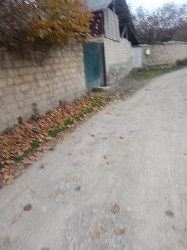 сад: 12 соток, Для строительства, Собственник, Купчая — 10