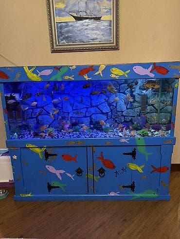 сколько стоит аквариум: Аквариум - 2 м ( 7,000 Манат Цена — 4
