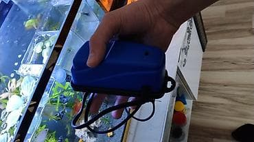 Аквариумные аксессуары и принадлежности: Akvaryum üçün hava nasosu: CX-0078 - Tip: elektriklə işləyən hava — 1