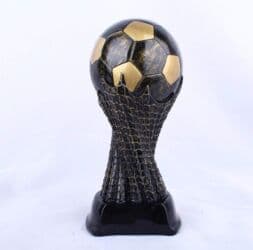 uwaq wekilleri: Kubok Ho-81341 — 4