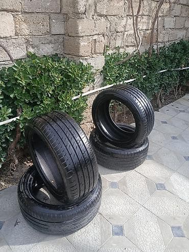 17lik diski: Şin 225 / 45 / R 17 — 4