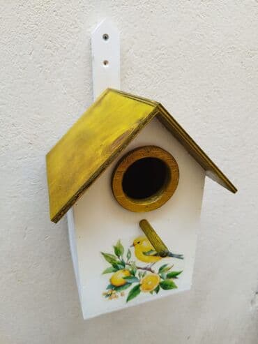 Quş yuvası Sağlam və uzunömürlü ekoloji təmiz . Səliqəli və zövqlü lalafo.az -da Quş yuvası Sağlam və uzunömürlü ekoloji təmiz . Səliqəli və zövqlü