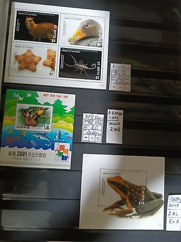 Elektrik nəqliyyatı: Müxtəlif markalar hər ölkələrdən — 5