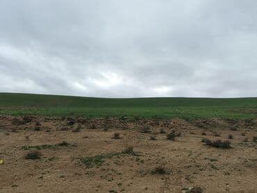 26 sot, Biznes üçün, Mülkiyyətçi, Kupça (Çıxarış)