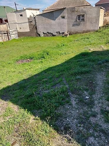 torpag satilir: Tikinti — 4