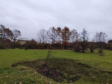 аренда земельных участков сельскохозяйственного назначения: Kənd təsərrüfatı — 8