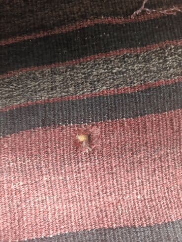 xalça şəkli çəkmək: Xalça Dekorativ, Kredit yoxdur — 2