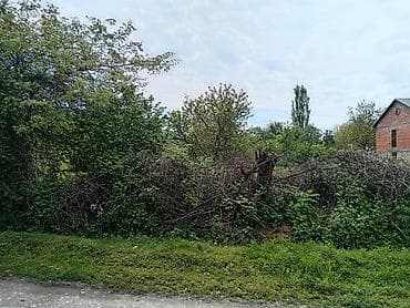 tap az şirvan: 12 sot, Biznes üçün, Mülkiyyətçi, Kupça (Çıxarış) — 2