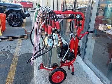 Аренда оборудования: Одиночный бидон, Турция, Нержавеющий бидон — 5