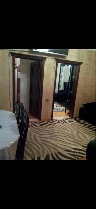 bileceri satiliq evler: Biləcəridə ev kiraye verilir.tam şəraitlidir.marketə,məktəbə yaxın — 1