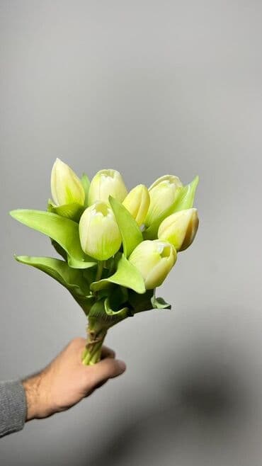 tülpan gülü haqqında: Məhsul: Tülpan gulleri - Rənglər: Şaftalı-narıncı və ağ tonlarda — 7