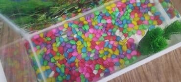 skalyar: Akvaryum dəsti və bıqlar - Şəffaf şüşə akvaryum, düzbucaqlı forma - — 5