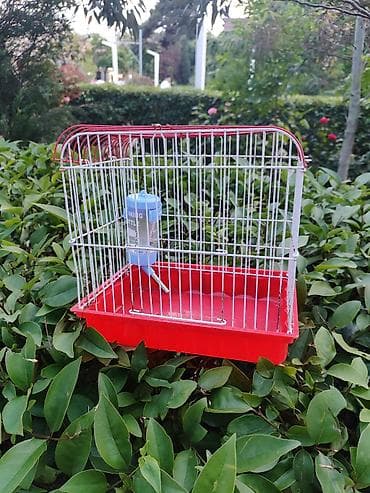 Qırmızı-ağ quş qəfəsi - Material: metal barmaqlıqlar və plastik