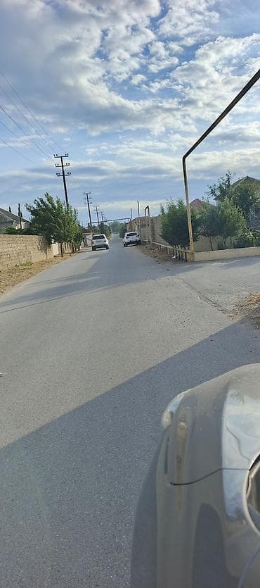 lalafo qapi pencere: Peşəkar sahə təmizləmə və alaq otlarının məhv edilməsi xidməti - — 9