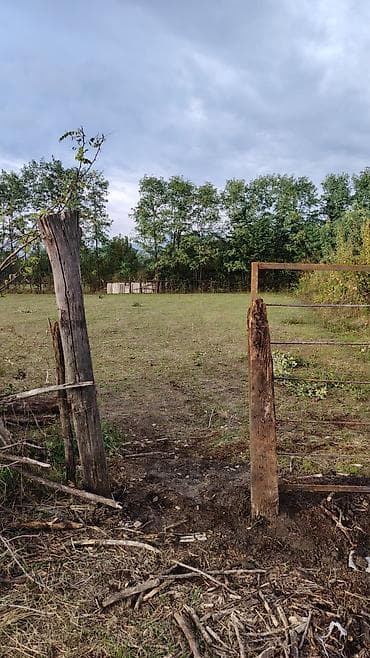 bine atciliqda ev satilir: Tikinti — 2