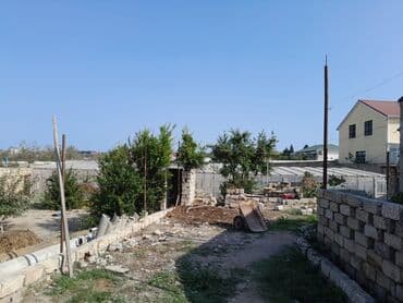 xacmazda torpaq: Kənd təsərrüfatı — 4