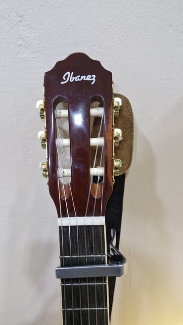 İdman və istirahət: Klassik gitara, Ibanez — 5